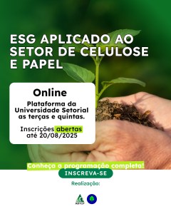 2 .  ESG aplicado ao Setor de Celulose e Papel (1)